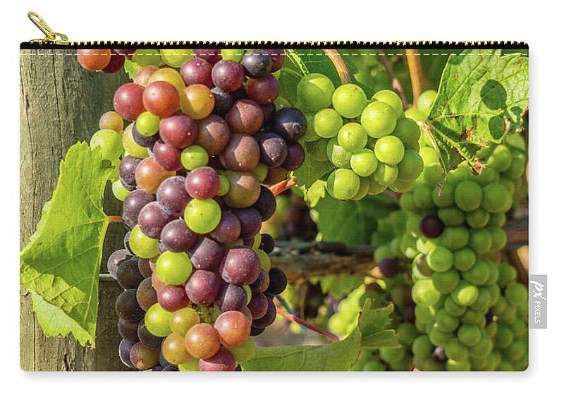 Grapes Zip Pouch featuring the photograph Pinot Gris Willamette Valley Vineyard by Leslie Struxness