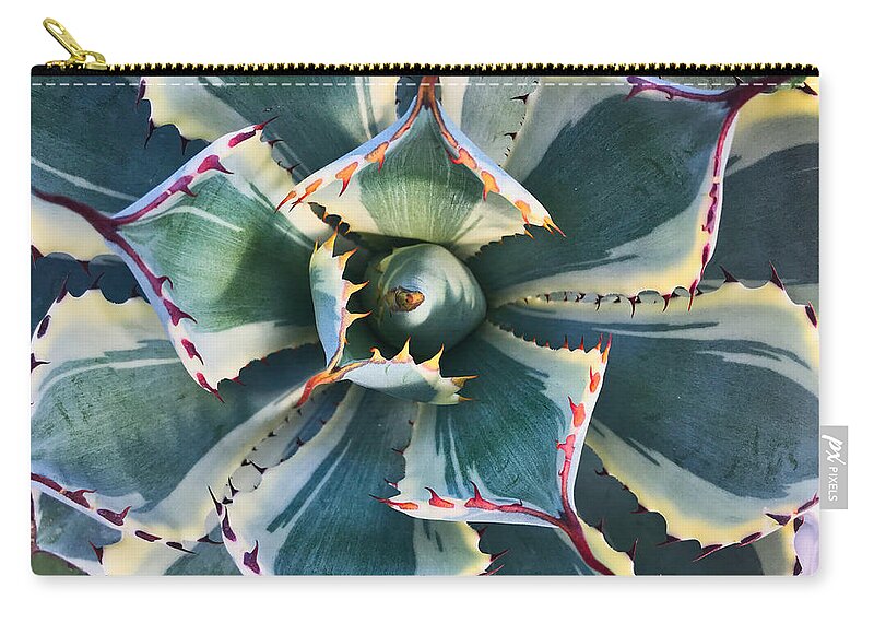 Plant Zip Pouch featuring the photograph Pinwheel Succulent by Tom Gresham