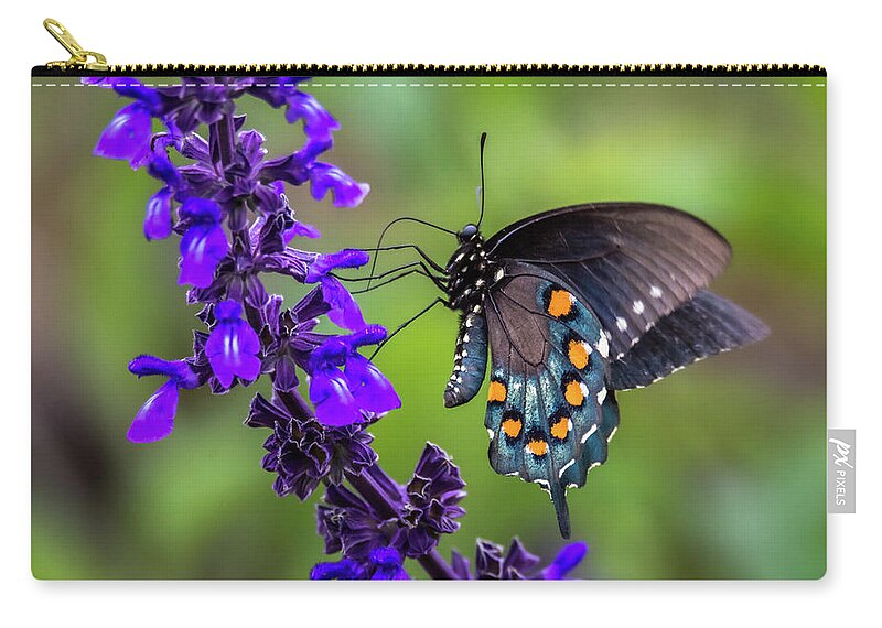 Pipevine Swallowtail Zip Pouch featuring the photograph Pipevine Swallowtail by Debra Martz