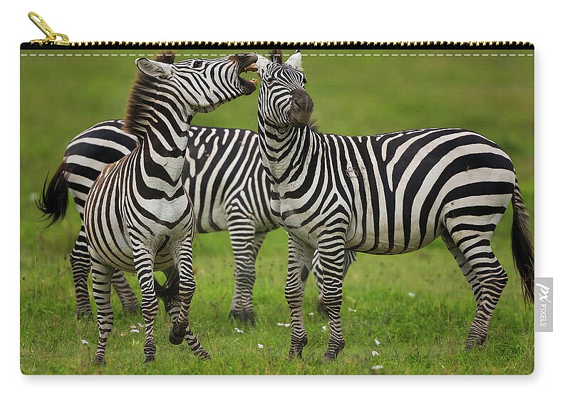Plains Zebra Zip Pouch featuring the photograph Plains Zebras, Ngorongoro Conservation by Mint Images - Art Wolfe