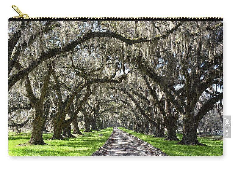 Spanish Moss Zip Pouch featuring the photograph Plantation Oaks Canopy by Jerry Griffin