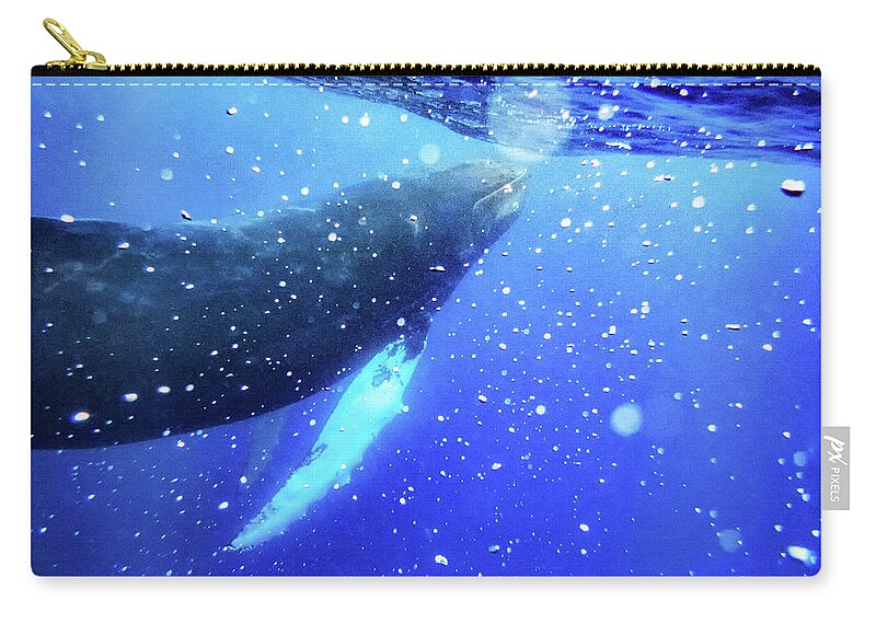 Baby Whale Playing With Bubbles Zip Pouch featuring the photograph Play by Louise Lindsay