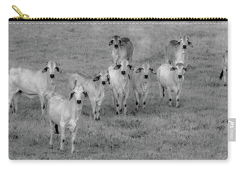 Tennessee Carry-all Pouch featuring the photograph Please Tell Me You Brought Breakfast, Infrared by Marcy Wielfaert