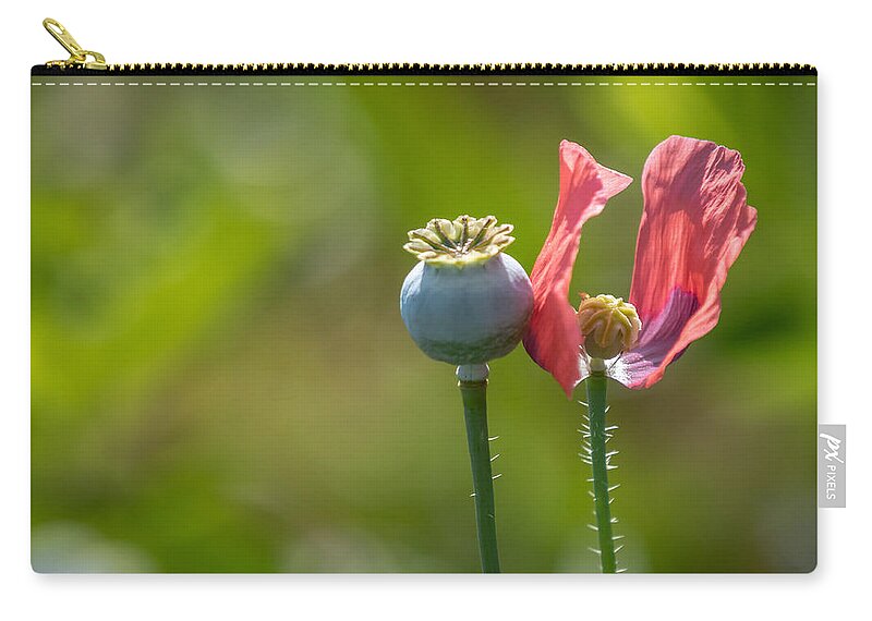 Poppies Carry-all Pouch featuring the photograph Pleasures Are Like Poppies by Holly Ross
