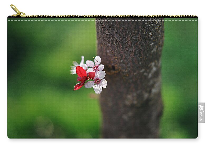Bunch Zip Pouch featuring the photograph Plum Blossom On Tree Trunk by Danielle D. Hughson