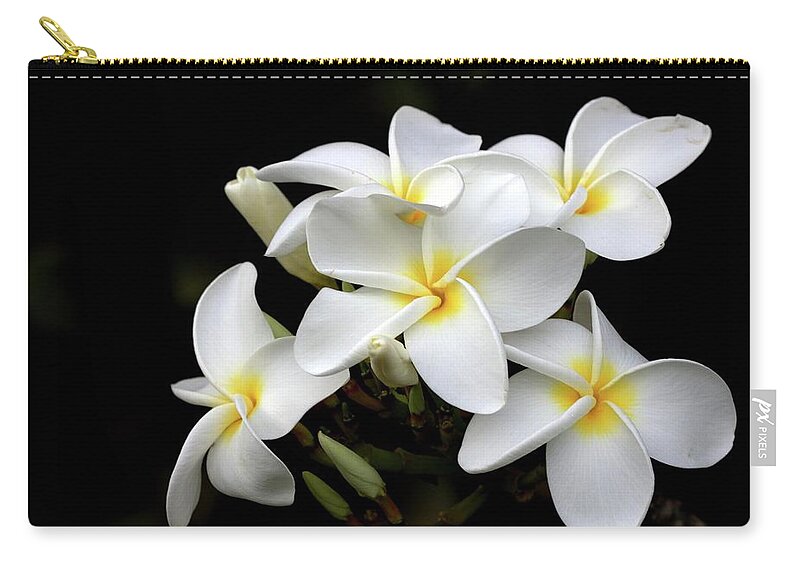 Bud Zip Pouch featuring the photograph Plumeria Flower by Photos By By Deb Alperin