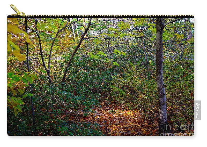 Poconos Forest Autumnn View Zip Pouch featuring the photograph Poconos Forest Autumn View by Barbra Telfer