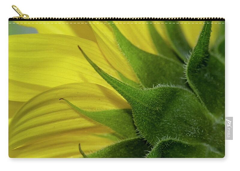 Yellow Carry-all Pouch featuring the photograph Pointed by Cathy Kovarik