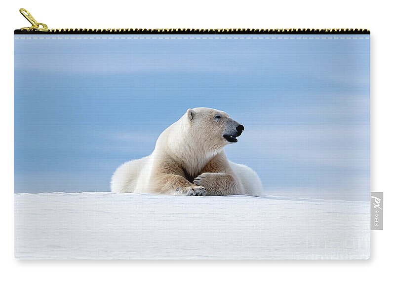 Polar Zip Pouch featuring the photograph Polar bear laying on the frozon snow of Svalbard by Jane Rix