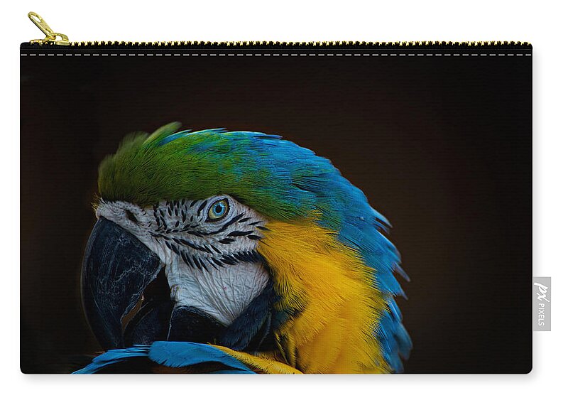 Parrot Zip Pouch featuring the photograph Polly's Portrait by Carolyn Mickulas