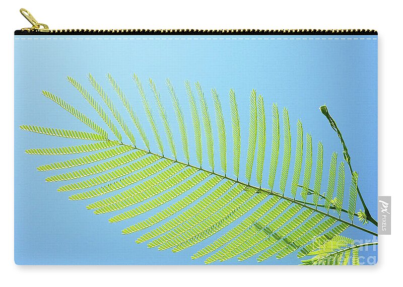 Pond Pine Zip Pouch featuring the photograph Pond Pine_1 by Pics By Tony