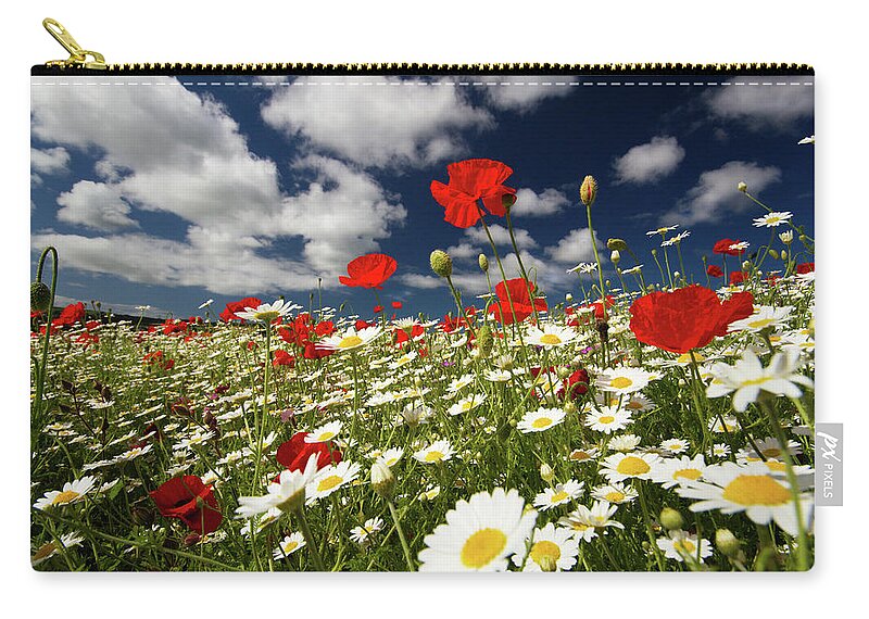 Large Group Of Objects Zip Pouch featuring the photograph Poppies by Lucie Averill