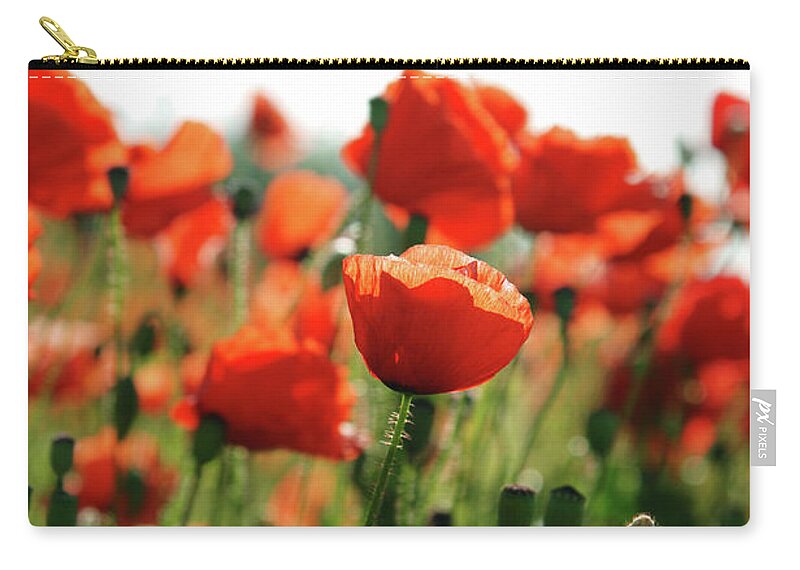 Outdoors Zip Pouch featuring the photograph Poppy Field by Mattjeacock