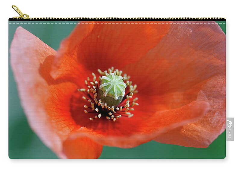 Shadow Carry-all Pouch featuring the photograph Poppy Flower by Copyright Crezalyn Nerona Uratsuji