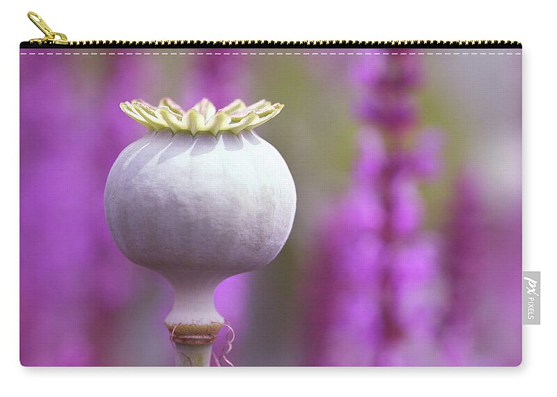 Outdoors Zip Pouch featuring the photograph Poppy Seed Head, Purple Background by Www.zoepower.co.uk