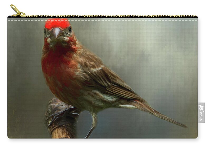 Avian Carry-all Pouch featuring the photograph Portrait of a House Finch by Cathy Kovarik