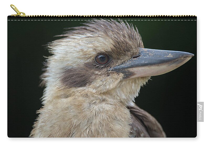 Kookaburra Zip Pouch featuring the photograph Portrait of a Kookaburra by Nicolas Lombard