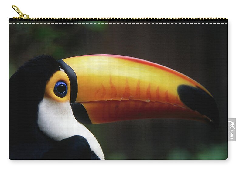 South America Zip Pouch featuring the photograph Portrait Of A Toco Toucan Ramphastos by Mark Newman