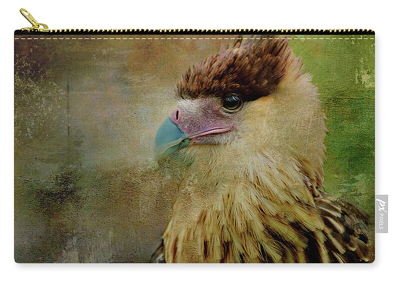 Caracara Zip Pouch featuring the mixed media Portrait of a Young Caracara by Kathy Kelly