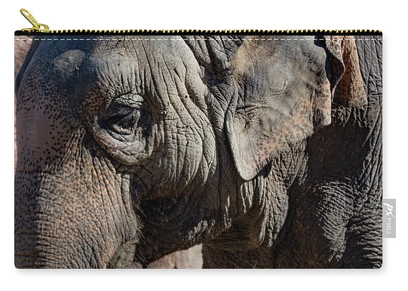 Elephant Zip Pouch featuring the photograph Portrait of an Elephant by Margaret Zabor