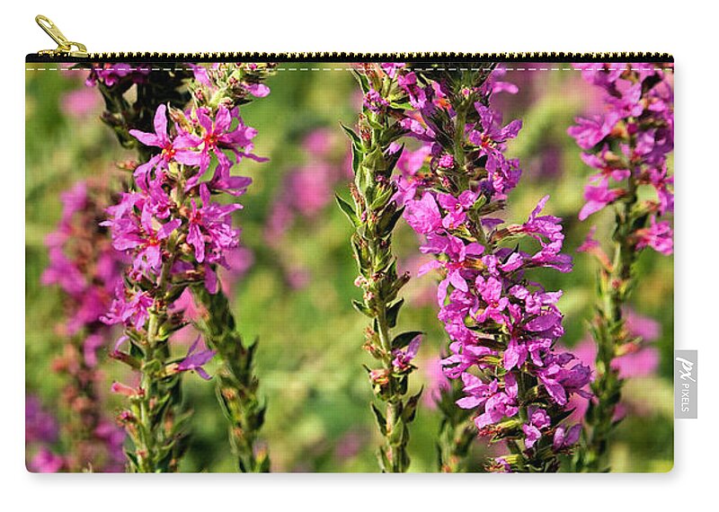 Delphinium Carry-all Pouch featuring the photograph Potomac Summer No.1 by Steve Ember