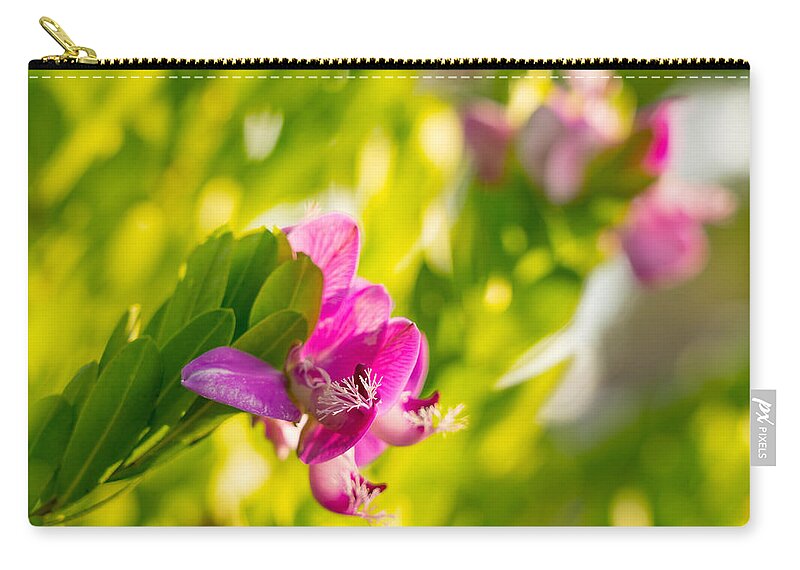 Flowers Zip Pouch featuring the photograph Pretty Picture by Derek Dean