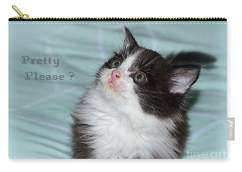 Pretty Please Zip Pouch featuring the photograph Pretty Please? Cute Kitten by Kaye Menner by Kaye Menner