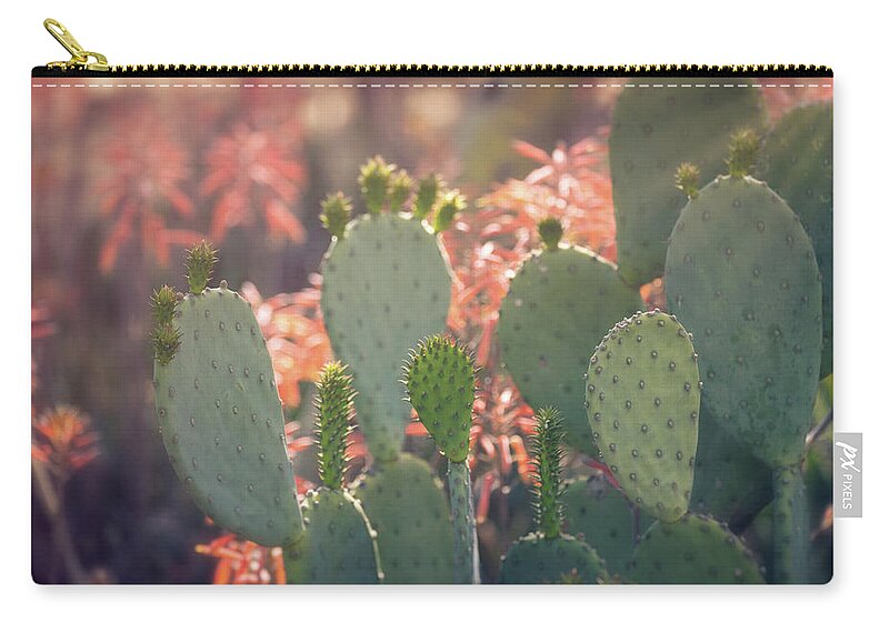 Prickly Pear Cactus Zip Pouch featuring the photograph Prickly Pear And Aloe Flowers by Saija Lehtonen