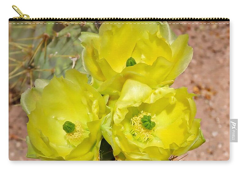 Arizona Zip Pouch featuring the photograph Prickly Pear Cactus Trio Bloom by Judy Kennedy