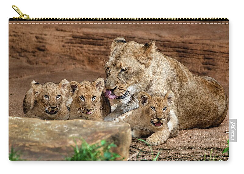Lions Zip Pouch featuring the photograph Pride of the Pride 6114 by Donald Brown