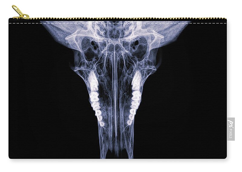 Kansas Carry-all Pouch featuring the photograph Pronghorn x-ray 04 by Rob Graham
