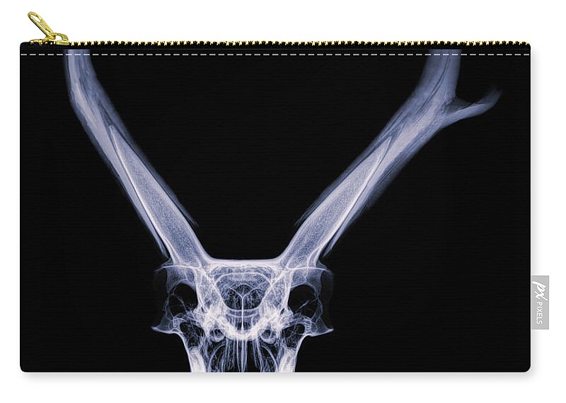 Kansas Zip Pouch featuring the photograph Pronghorn x-ray 06 by Rob Graham