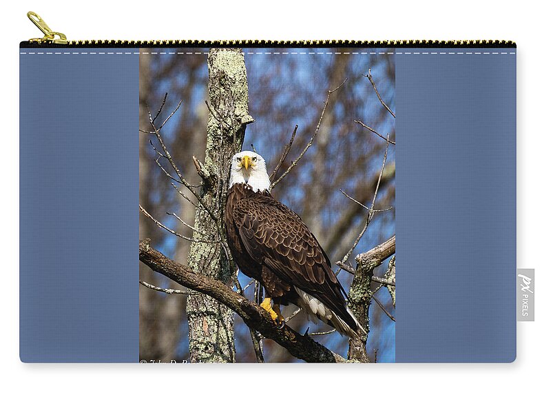  Zip Pouch featuring the photograph Proud Eagle by John Roach