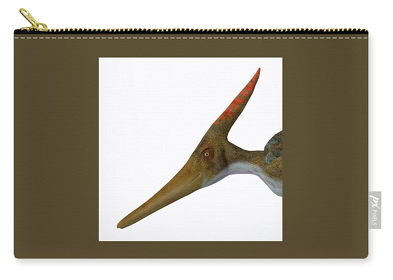 Pteranodon Zip Pouch featuring the digital art Pteranodon Reptile Head by Corey Ford