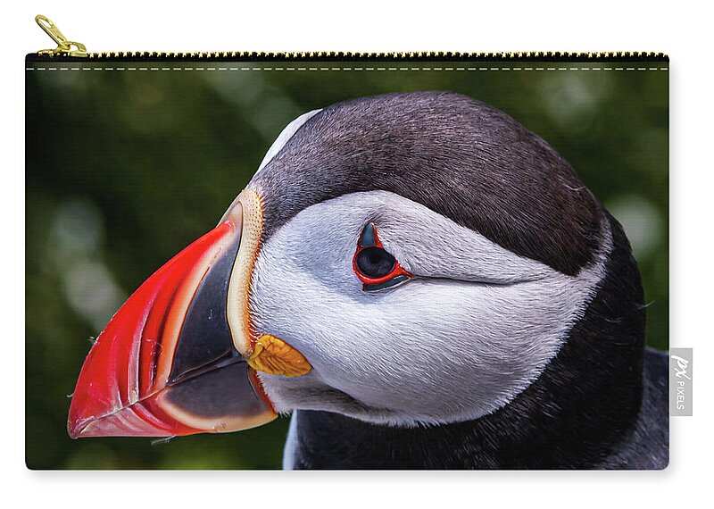 Puffins Carry-all Pouch featuring the photograph Puffin Profile by Darryl Hendricks