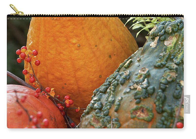 Garden Zip Pouch featuring the photograph Pumpkin power by Garden Gate magazine