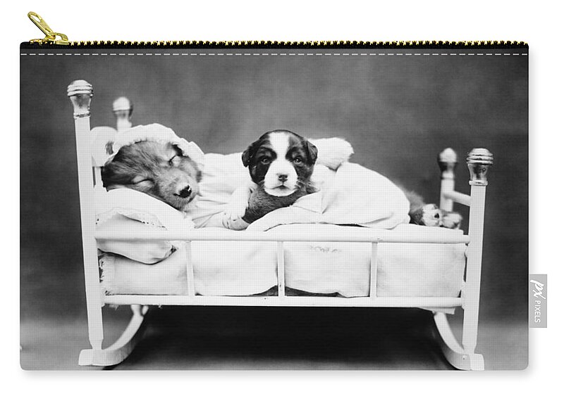 Puppies Zip Pouch featuring the photograph Puppies In Bed - When Bedtime Comes - Harry Whittier Frees by War Is Hell Store