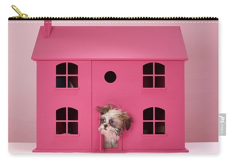 Pets Zip Pouch featuring the photograph Puppy Peering Out Of Dolls House by Martin Poole