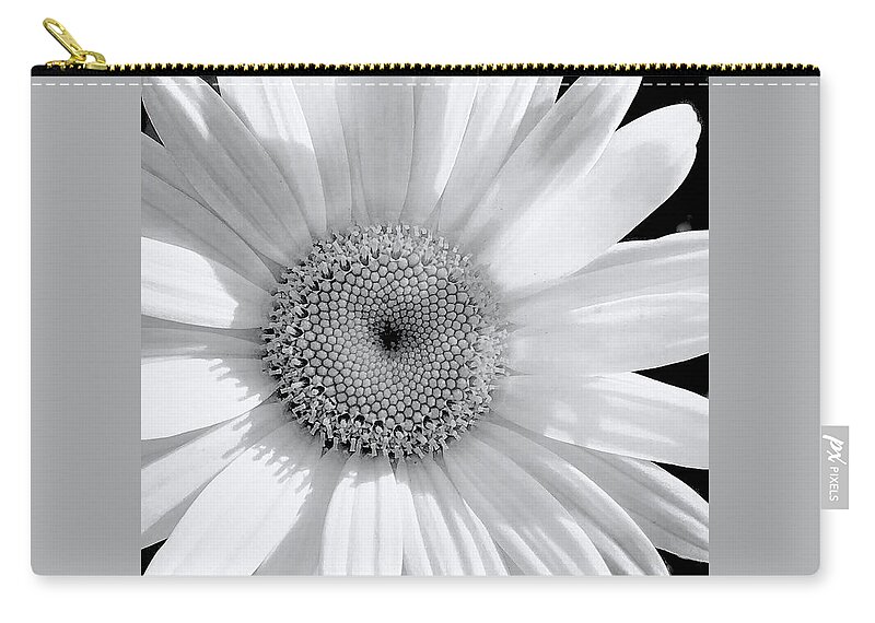Daisy Zip Pouch featuring the photograph Pure Daisy by Alida M Haslett