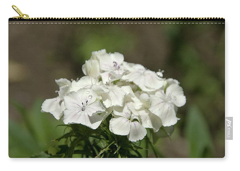 Flower Zip Pouch featuring the photograph Pure Still Life by Jose Rojas