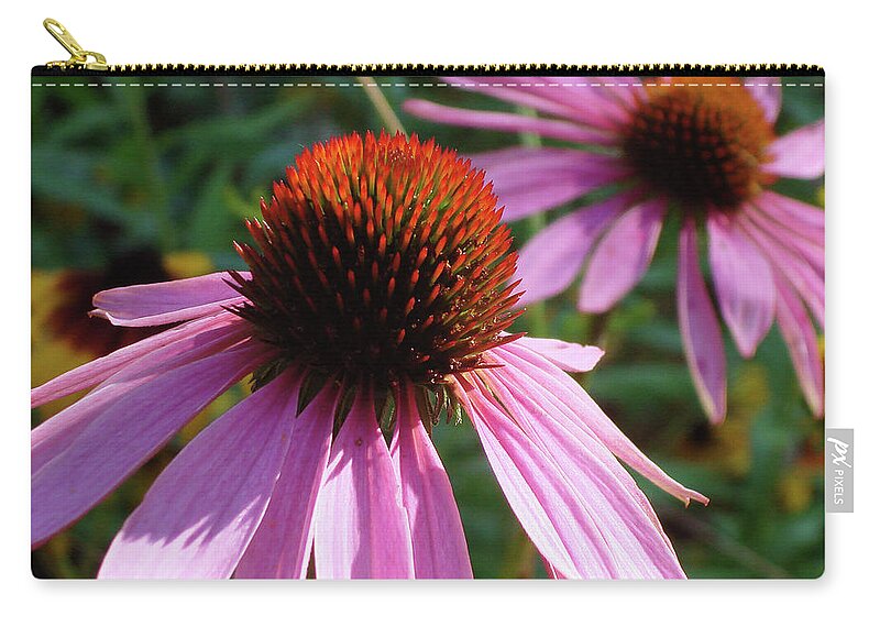 Echinacea Zip Pouch featuring the photograph Purple Coneflower 12 by Amy E Fraser