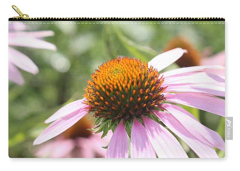 Purple Carry-all Pouch featuring the photograph Purple Coneflower Bloom and Petals by Christopher Lotito