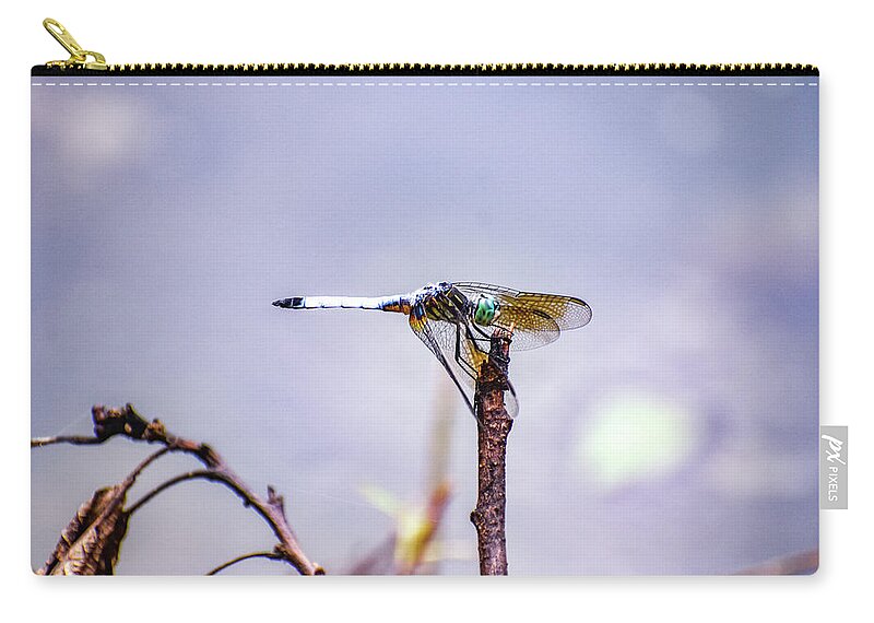 Dragon Fly Zip Pouch featuring the photograph Purple Dragon Fly by Michelle Wittensoldner