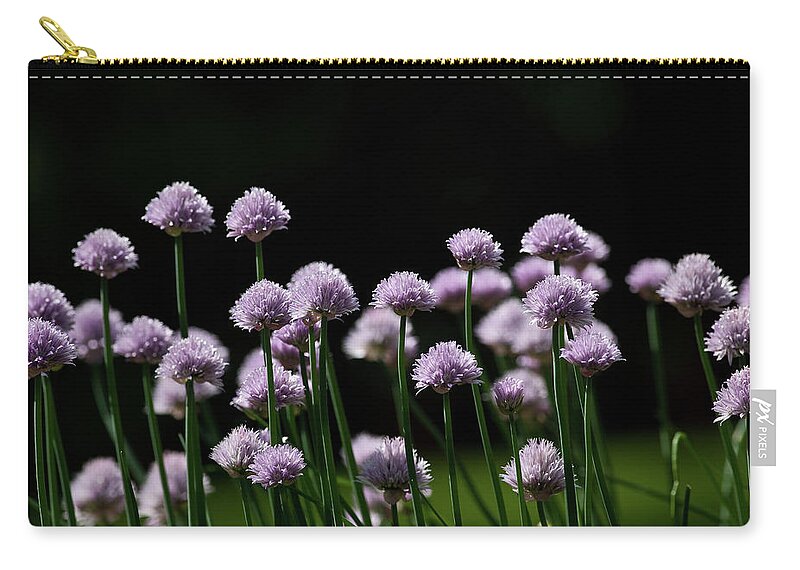 Purple Zip Pouch featuring the photograph Purple Flowers Against Black Background by John Bencina