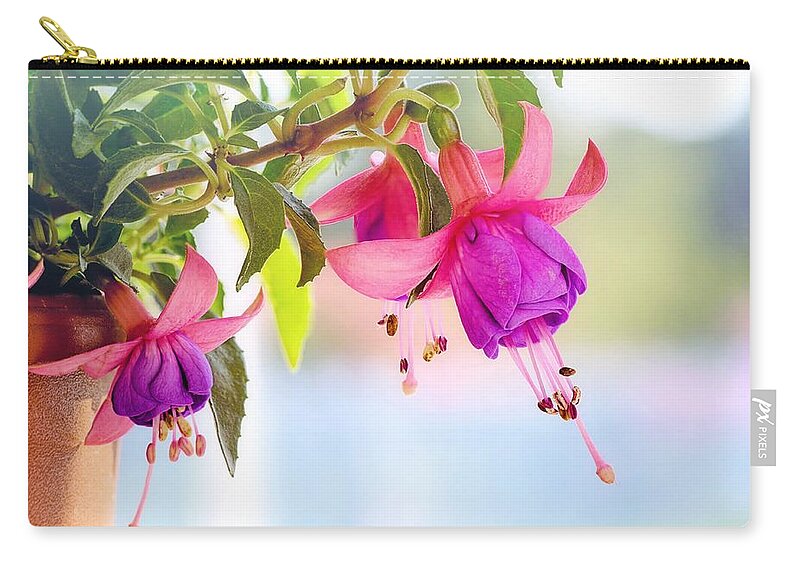 Flower Zip Pouch featuring the photograph Purple flowers by Top Wallpapers