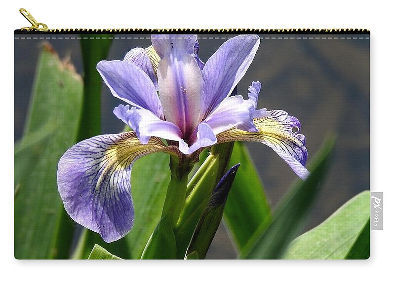 Purple Zip Pouch featuring the photograph Purple Iris by Kathy Chism