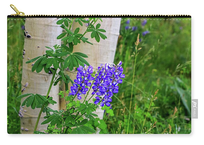 Arizona Zip Pouch featuring the photograph Purple Lupine and Aspen by Dawn Richards