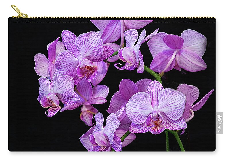 Flora Zip Pouch featuring the photograph Purple Orchid #3A by Thomas Whitehurst
