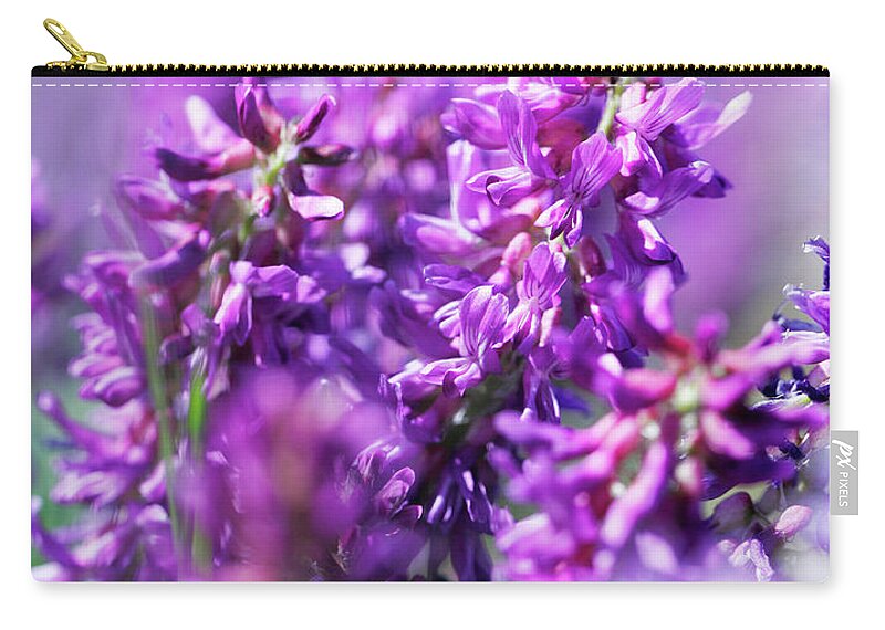 Chester Zip Pouch featuring the photograph Purple Power by Todd Klassy