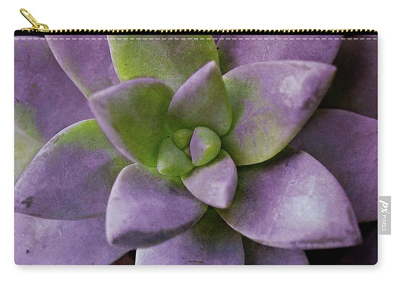 Purple Carry-all Pouch featuring the photograph Purple Succulent I by Susan Bryant